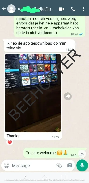 Review Beehoster dienst