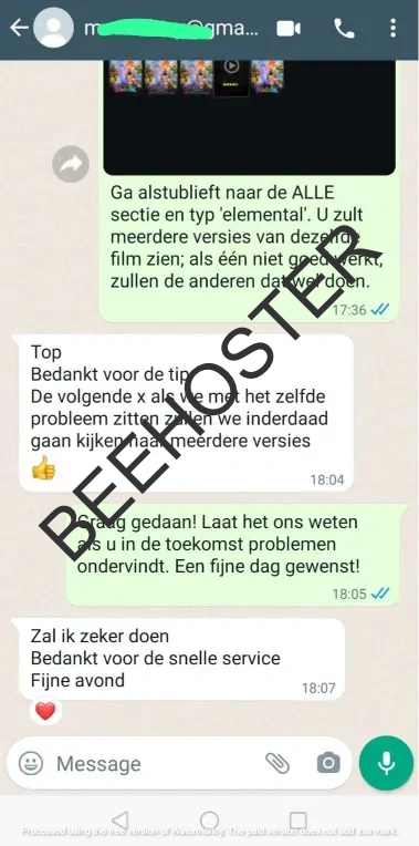 Beehoster review 1